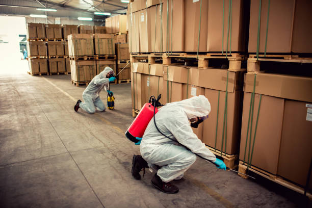 Reliable Windsor, CA Pest Control Solutions