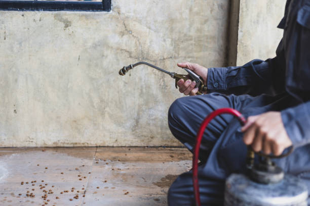 Best Emergency Pest Control  in Windsor, CA